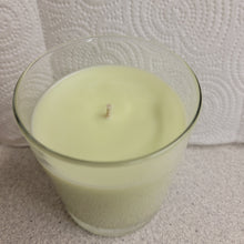 Load image into Gallery viewer, Honeydew Melon