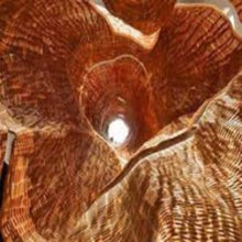 Load image into Gallery viewer, Amber Cedar