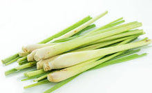 Load image into Gallery viewer, Citronella