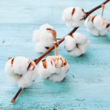 Load image into Gallery viewer, Clean Cotton