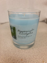 Load image into Gallery viewer, Peppermint & Eucalyptus
