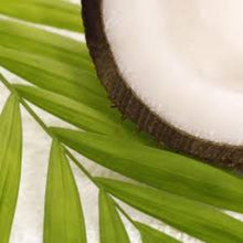 Load image into Gallery viewer, Bamboo & Coconut