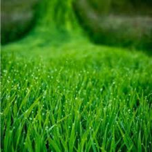 Load image into Gallery viewer, Fresh Cut Grass
