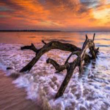 Load image into Gallery viewer, Lavender Driftwood