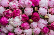 Load image into Gallery viewer, Magnolia & Peony
