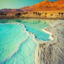 Load image into Gallery viewer, Sea Minerals