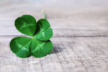 Load image into Gallery viewer, 4 Leaf Clover
