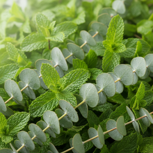 Load image into Gallery viewer, Fresh Mint &amp; Eucalyptus
