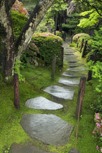 Load image into Gallery viewer, Zen Garden
