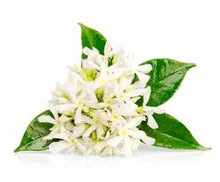 Load image into Gallery viewer, Neroli &amp; White Jasmine
